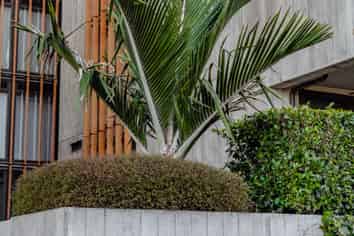 305/250 Kepa Road, Mission Bay