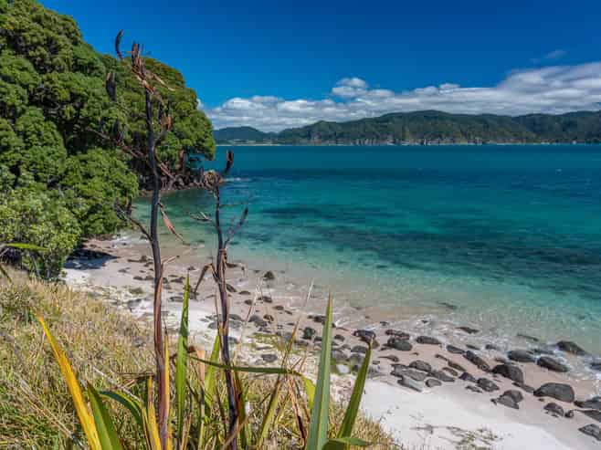 190 Pacific Ocean, Slipper Island (Whakahua), Thames