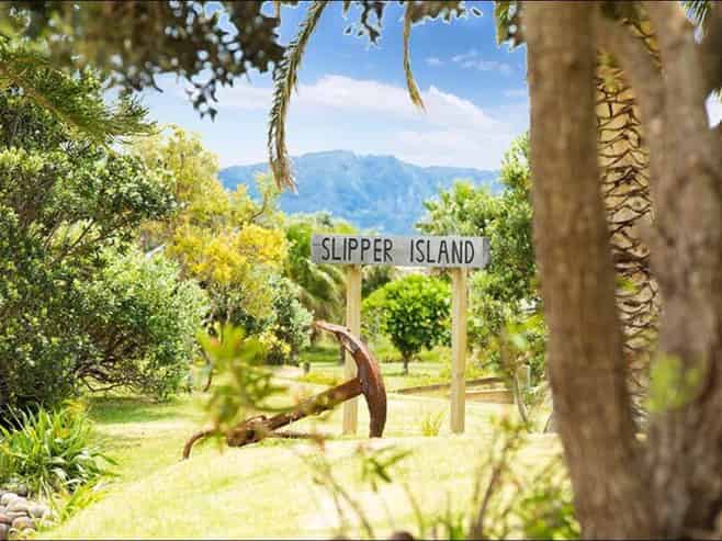 190 Pacific Ocean, Slipper Island (Whakahua), Thames