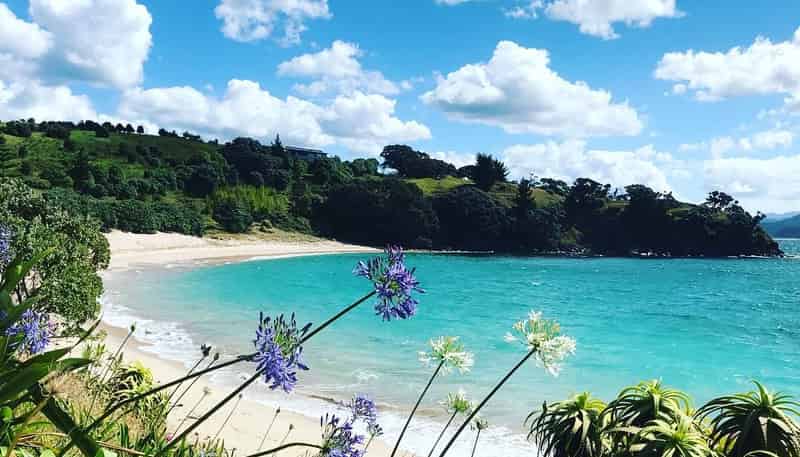 190 Pacific Ocean, Slipper Island (Whakahua), Thames