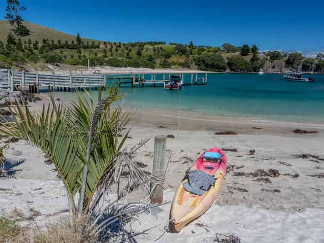 190 Pacific Ocean, Slipper Island (Whakahua), Thames