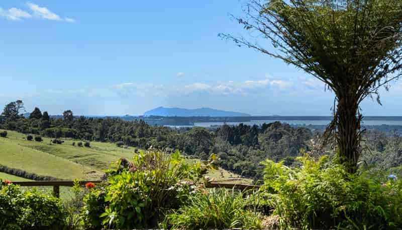 424A Hot Springs Road, Katikati