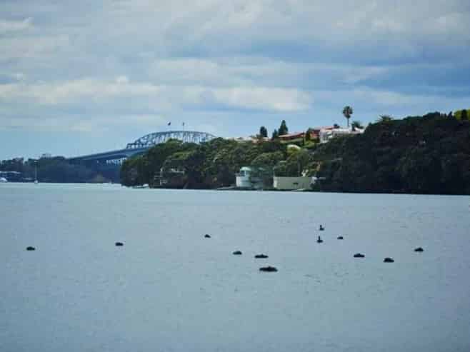 190 Garnet Road, Westmere