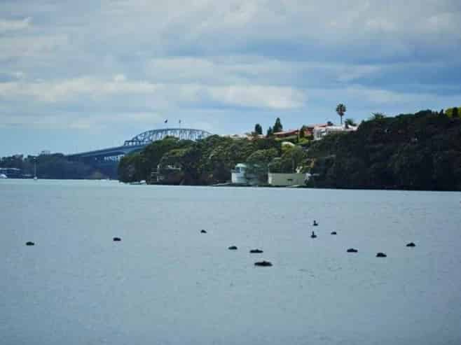 190 Garnet Road, Westmere