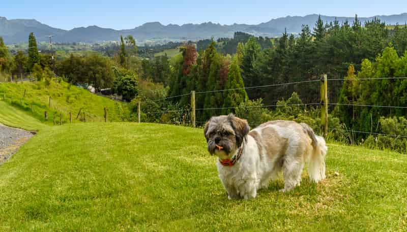 101 Turntable Hill Road, Whakamarama