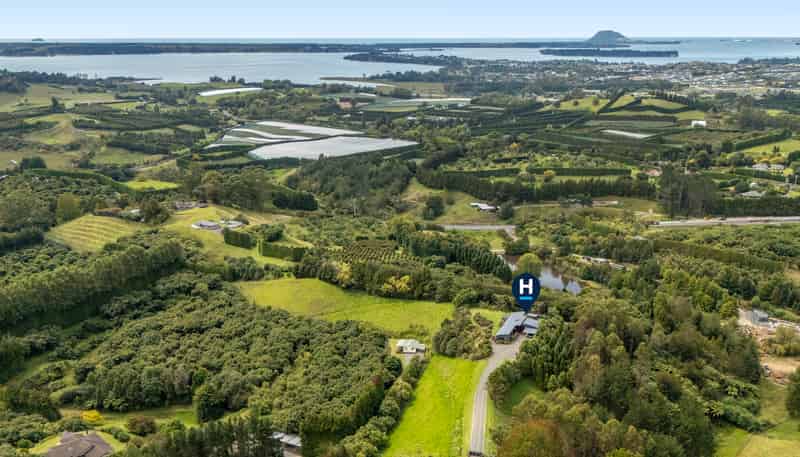 101 Turntable Hill Road, Whakamarama