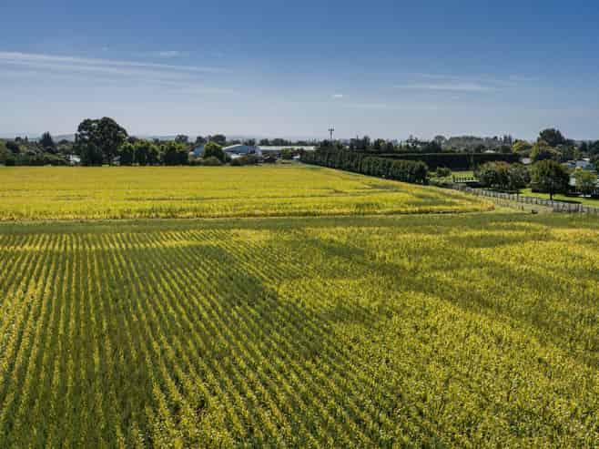 541 State Highway 51, Whakatu