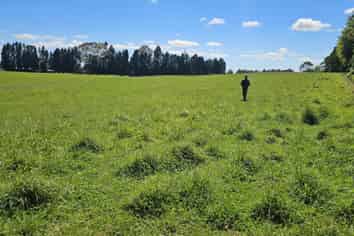 Lot 3, 72 Belk Road South, Omanawa