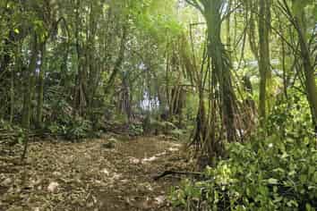 Lot 2, 72 Belk Road South, Omanawa