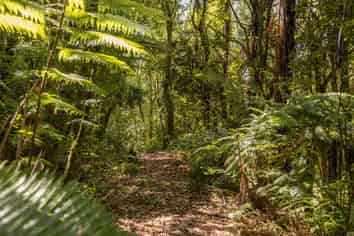 Lot 2, 72 Belk Road South, Omanawa