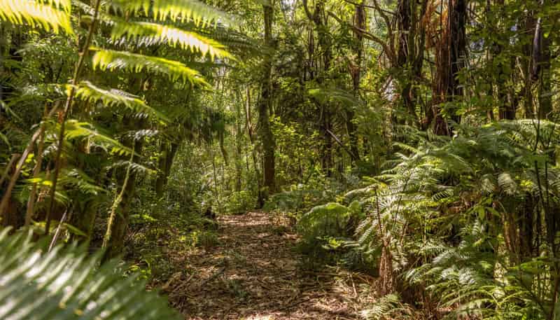 Lot 2, 72 Belk Road South, Omanawa