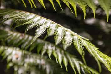 Lot 2, 72 Belk Road South, Omanawa