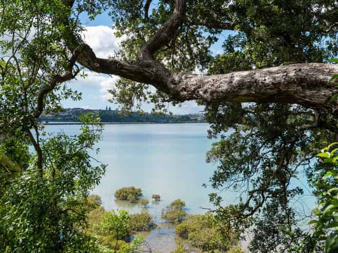 3 Papahia Street, Parnell