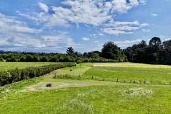 114 Dudley Road Upper, Inglewood