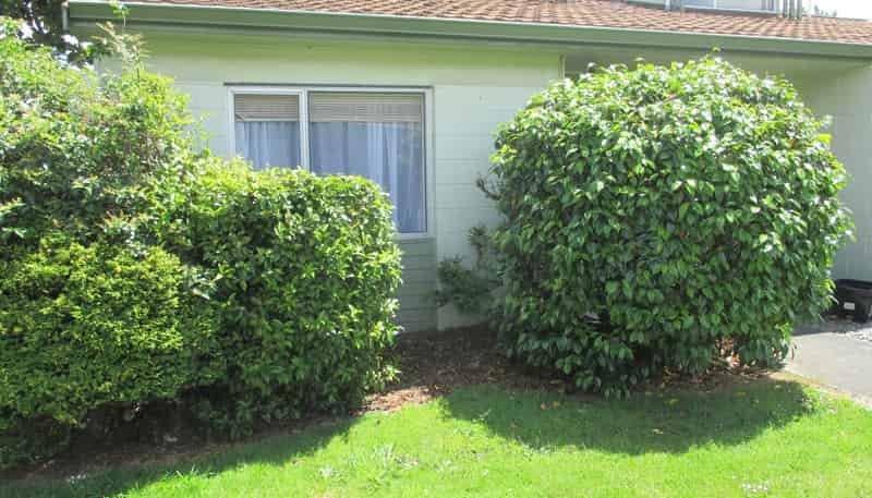 17A Churchill Avenue, Hokowhitu