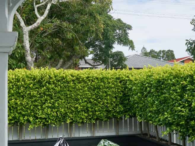 115 Victoria Street , Onehunga