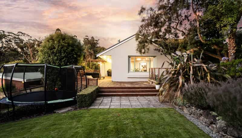 50 Every Street, Andersons Bay