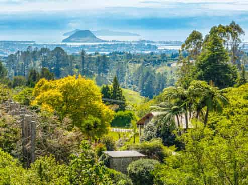 64 Oropi Gorge Road, Pyes Pa