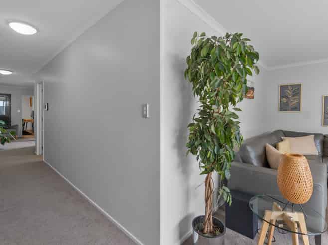 298B Mount Albert Road, Sandringham