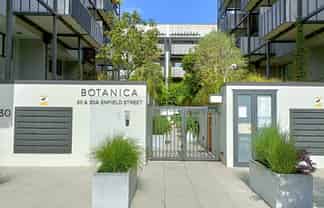 303/30 Enfield St, Mount Eden