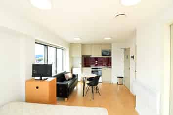 1205A/111 Dixon Street, Wellington Central