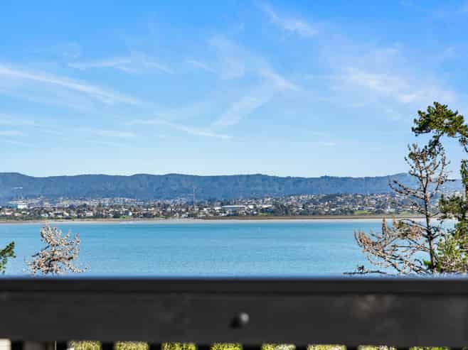 8 Eucalyptus Place, Beach Haven