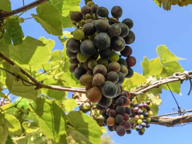 22 Hansard Place, Bethlehem