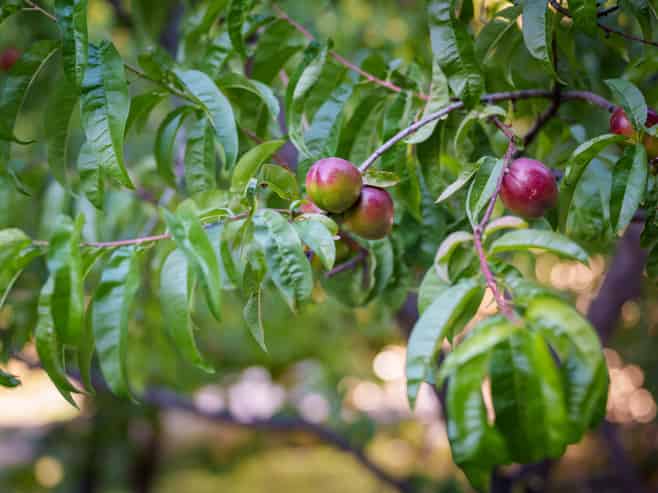 337 Beacon Point Road, Wanaka