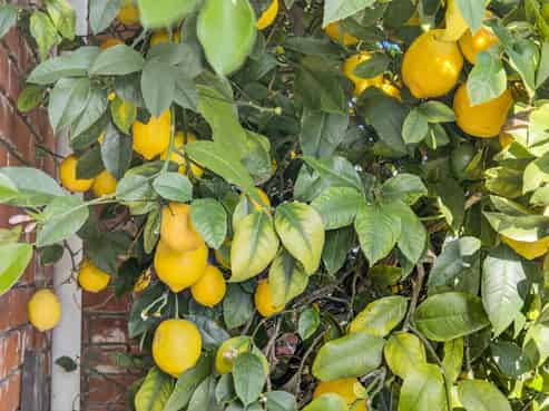 300 Kensington Avenue, Rangiora