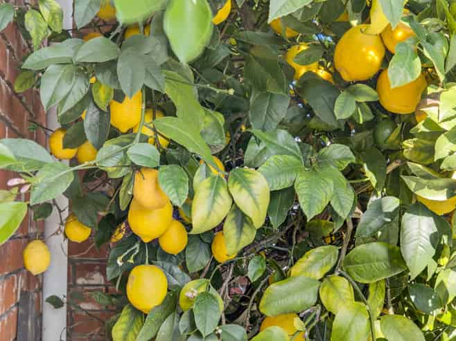 300 Kensington Avenue, Rangiora