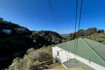 A/7 Mt Pleasant Road, Aro Valley