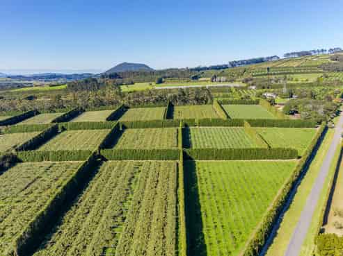 Northland - Address withheld
