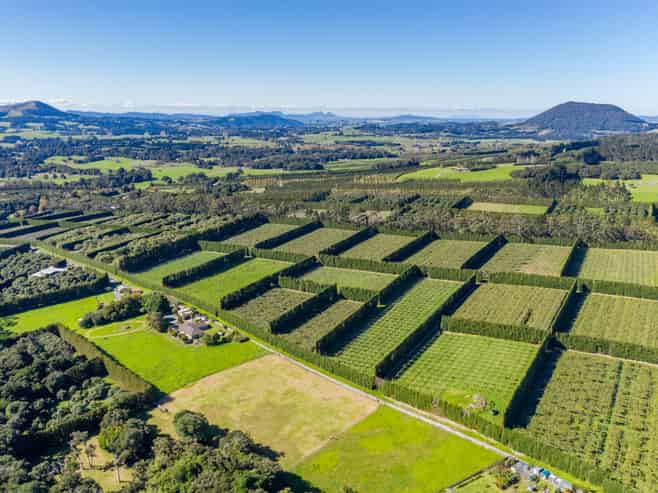 Northland - Address withheld