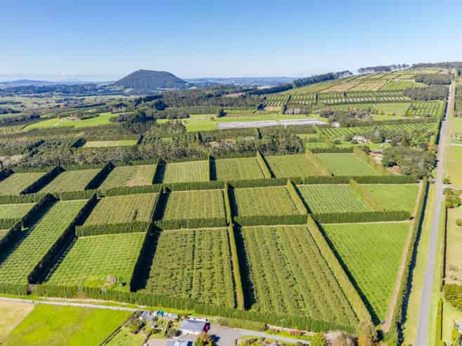 Northland - Address withheld