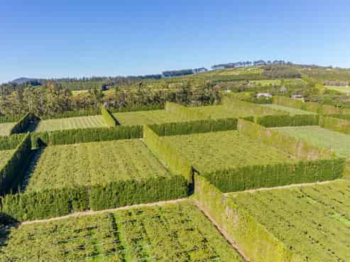 Northland - Address withheld