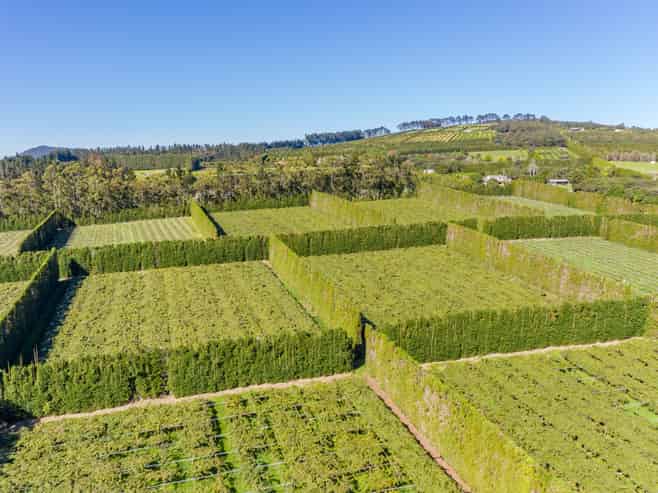 Northland - Address withheld