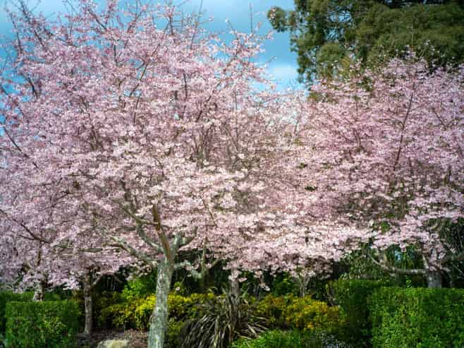 5/275 Pukehangi Road, Pukehangi