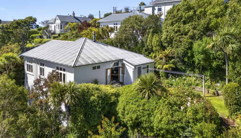 21 Falcon Street, Kaikorai