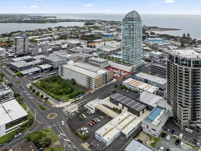 Takapuna Blank Canvas