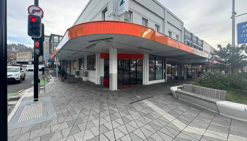 101 George Street, Dunedin Central