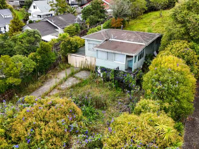 45,45A&45B Ambler Avenue, Glen Eden