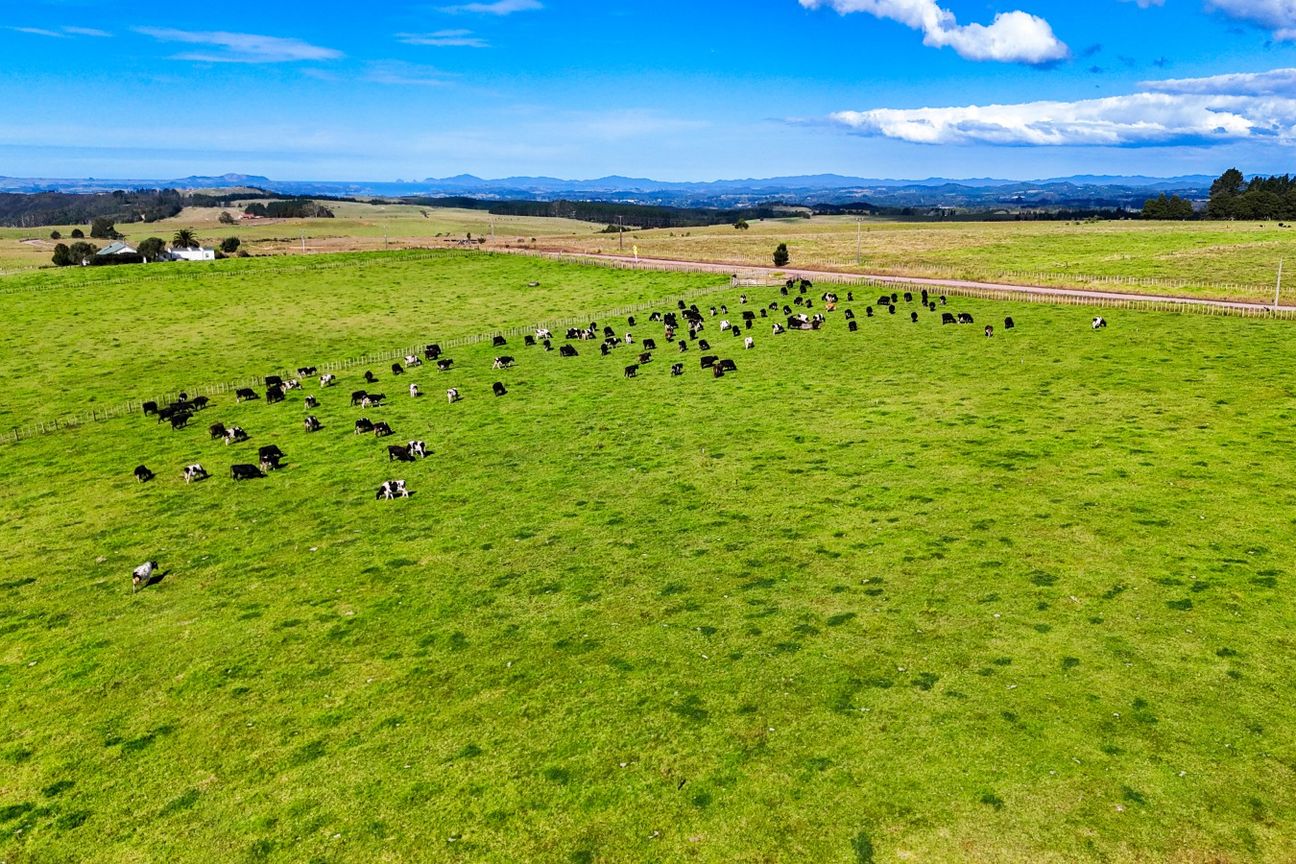 Rural lifestyle living starts here - Mai multe