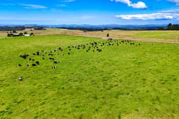 542 Mangakaretu Road, Okaihau