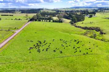 542 Mangakaretu Road, Okaihau