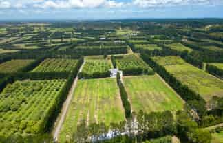 100 Whalers Road, Pukenui