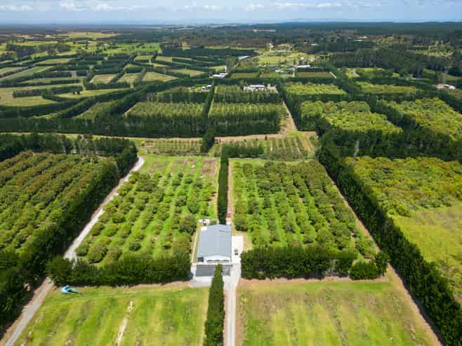 100 Whalers Road, Pukenui