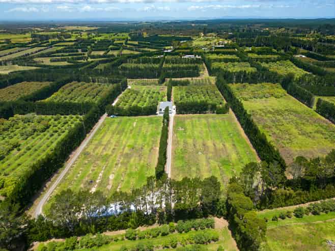 100 Whalers Road, Pukenui