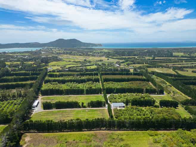 100 Whalers Road, Pukenui