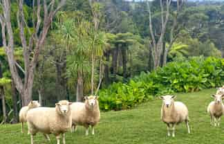 B/45 Bethells Road, Waitakere