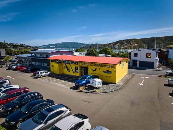 Take the plunge - own your own!